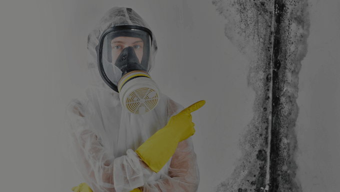 speed demolition & construction mold remediation services